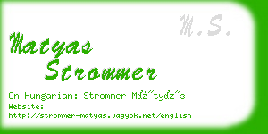 matyas strommer business card